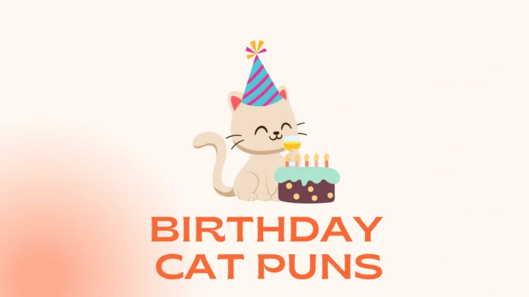Birthday Cat Puns