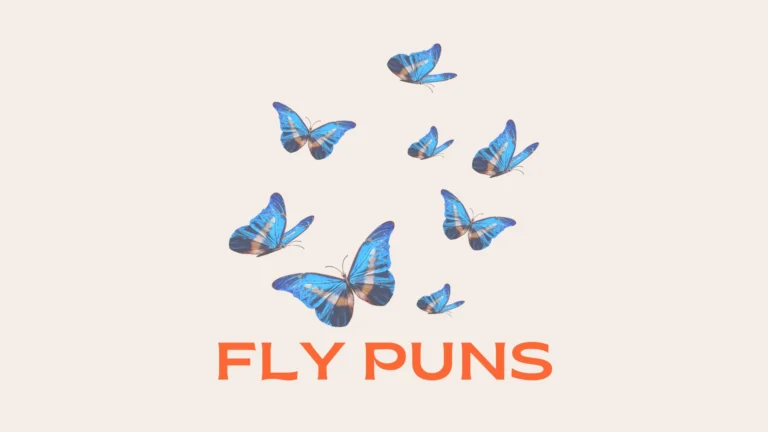 Fly Puns: Funny, Clever, Cute and Creative Ideas Fly Puns